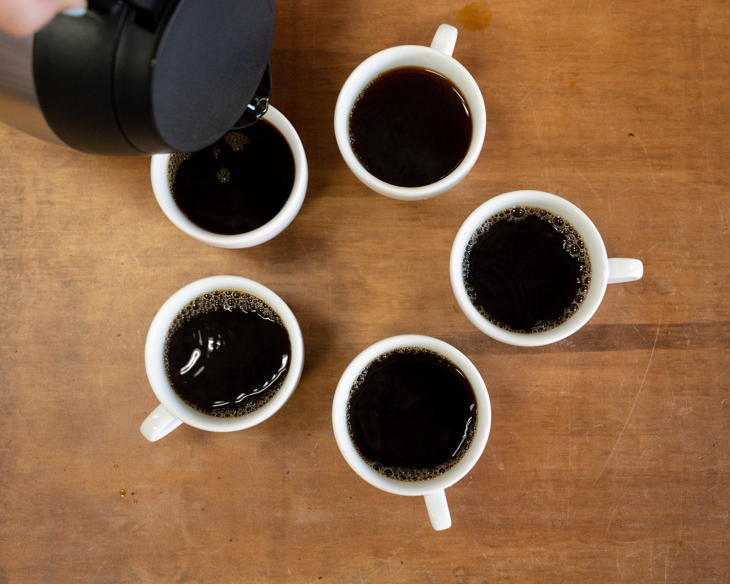 Roaster's Notes: New Comforting Coffees