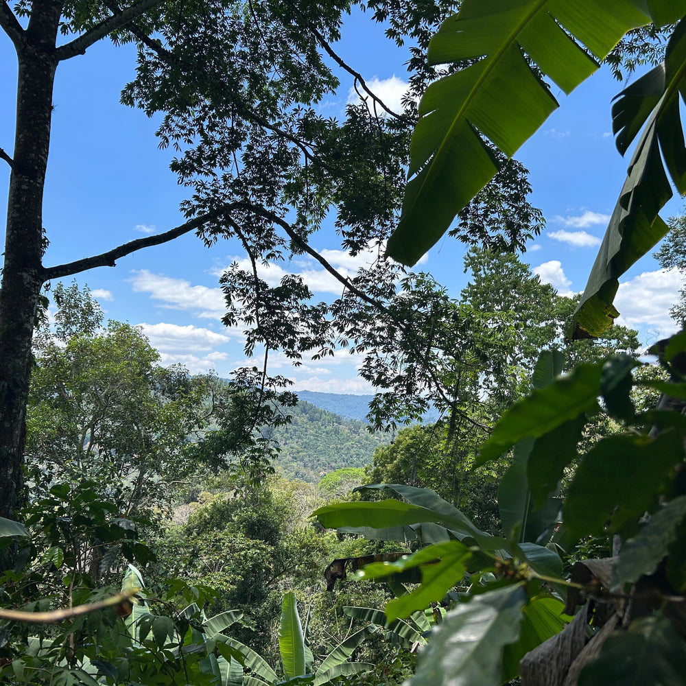 Todo Tuani en Nicaragua