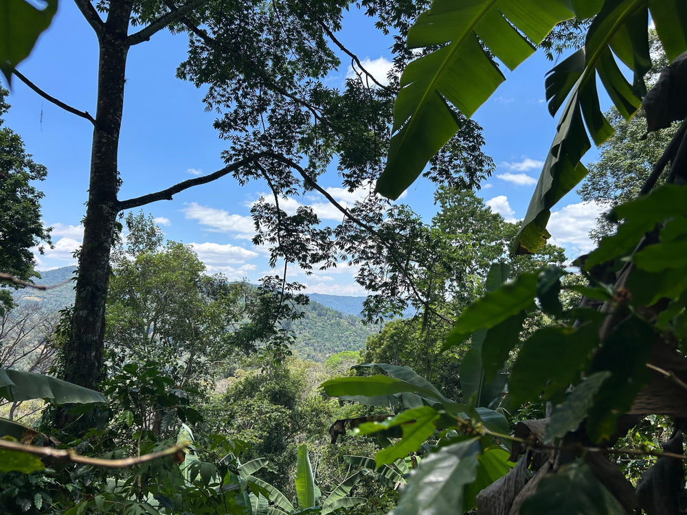 Todo Tuani en Nicaragua