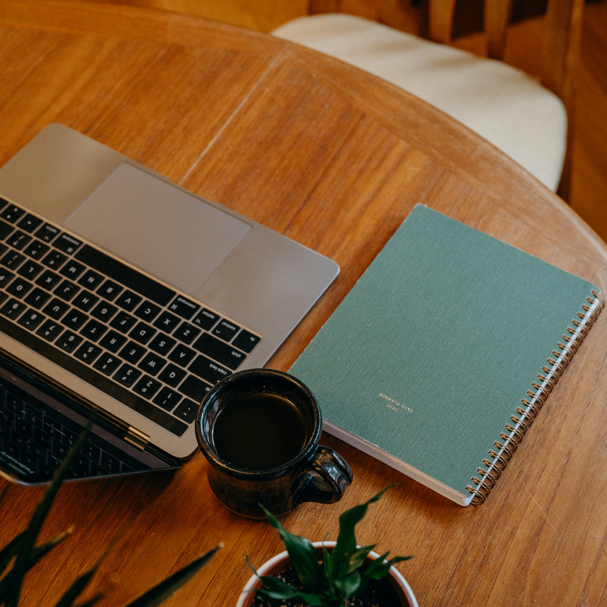 Aeropress Tutorial Dapper & Wise