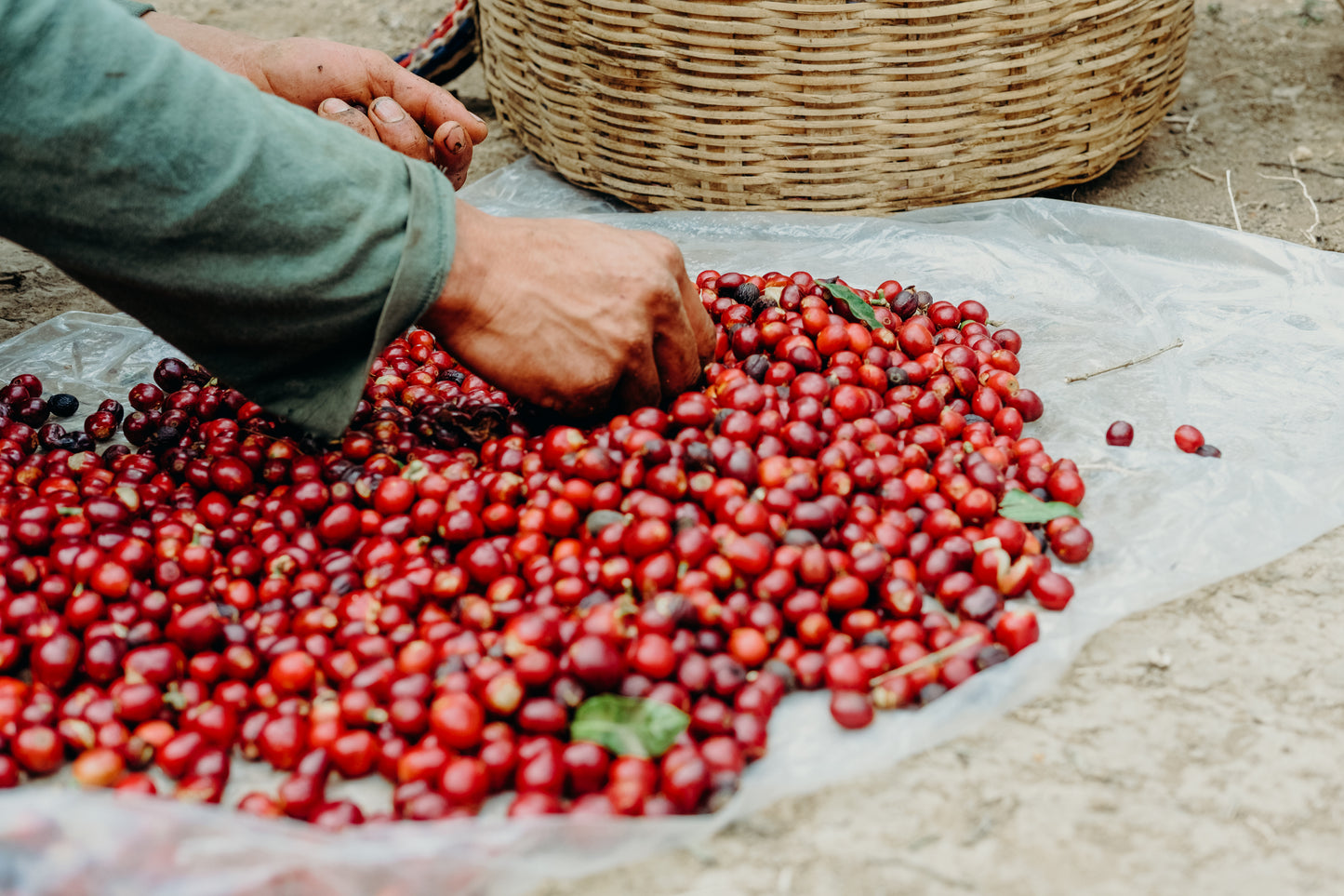 3 Month Gift Subscription