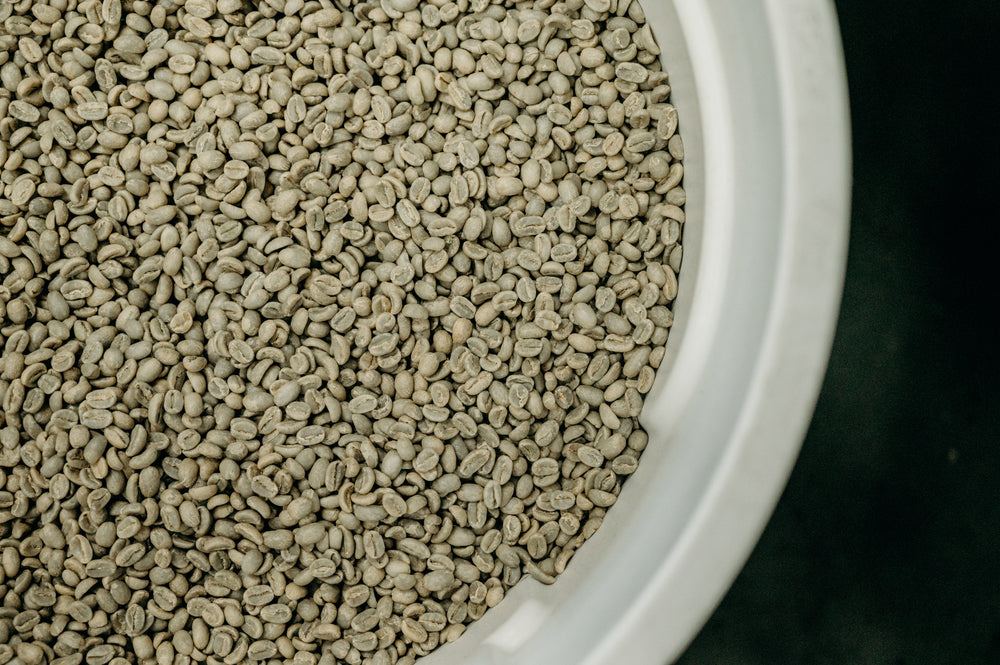 6 Month Gift Subscription