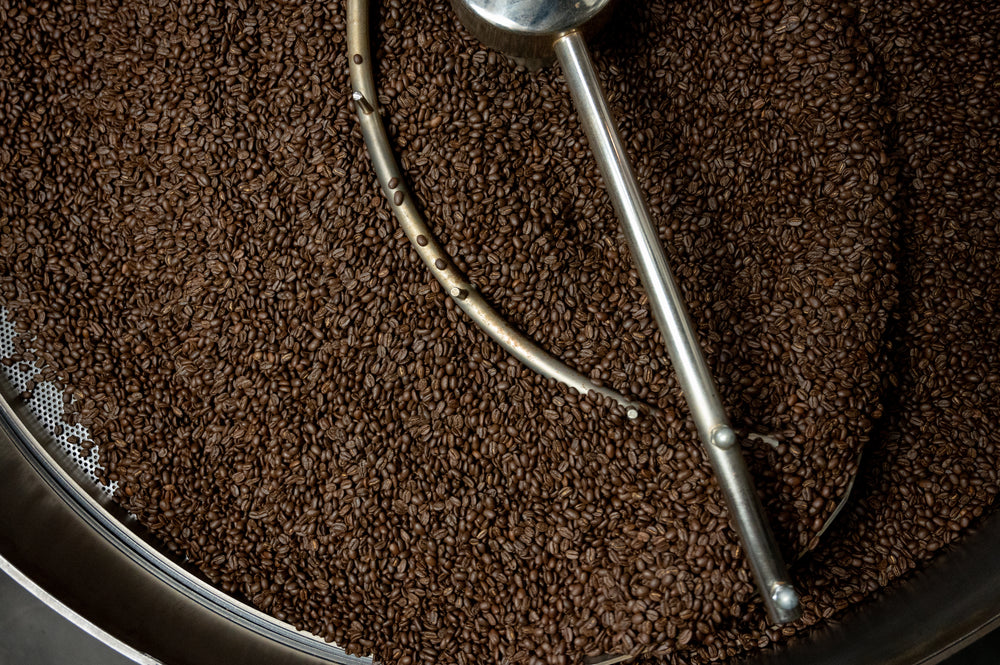 1 Year Gift Subscription