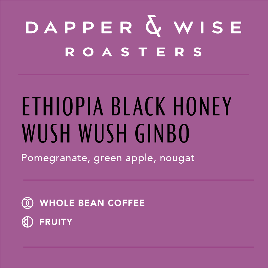 
                  
                    Ethiopia Black Honey Wush Wush Ginbo | Fruity
                  
                