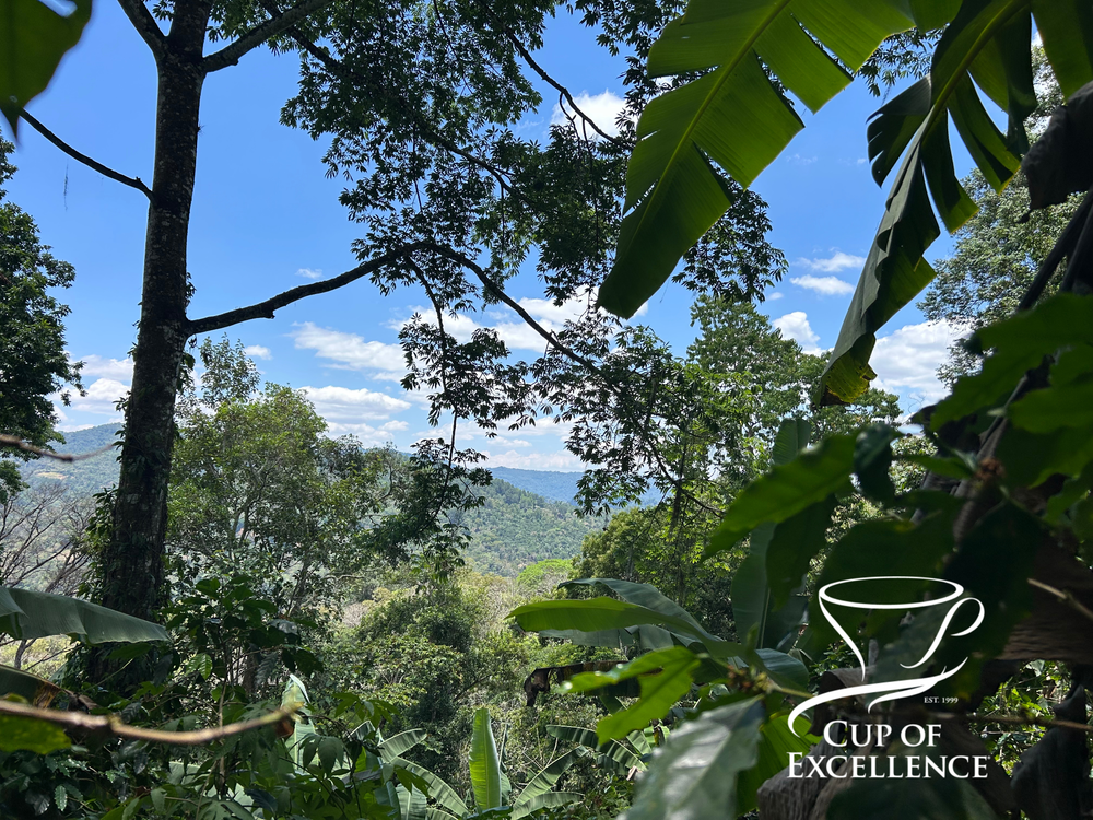 Cup of Excellence Collab Box