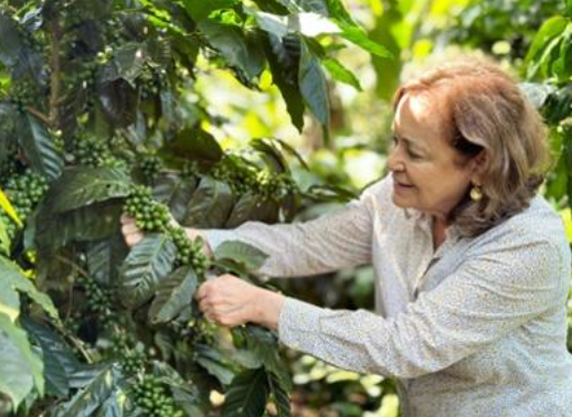 
                  
                    Cup of Excellence Collab Box
                  
                